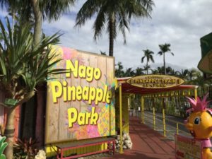 Nago Pineapple Park